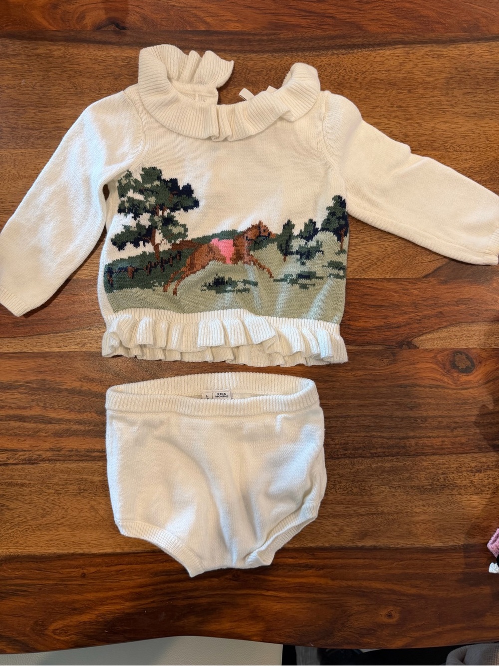 Janie and Jack baby horse matching sweater set